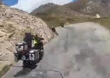 Sul tornante con la BMW GS rischia il frontale con un ciclista [VIDEO VIRALE]