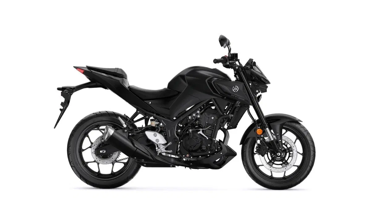 Yamaha MT-03 MT-03 (2022 - 24) (11)