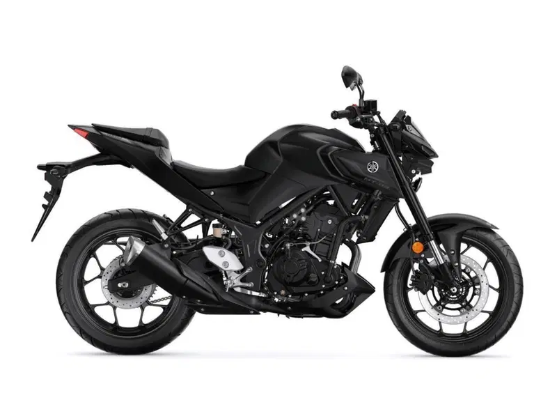 Yamaha MT-03 MT-03 (2022 - 24) (11)