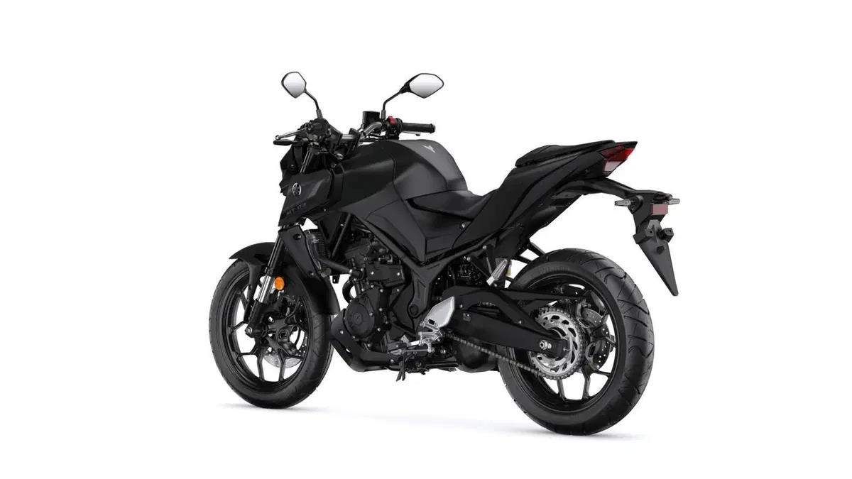 Yamaha MT-03 MT-03 (2022 - 24) (12)