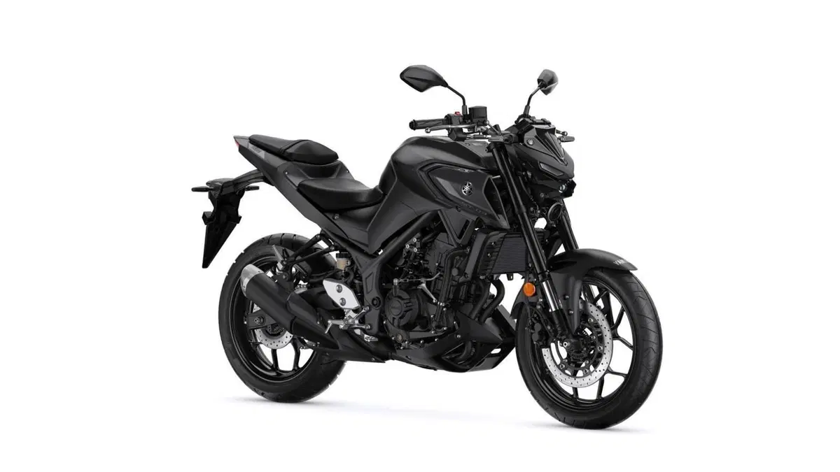 Yamaha MT-03 MT-03 (2022 - 24) (10)