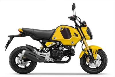 Honda MSX 125 Grom (2021 - 26) nuova