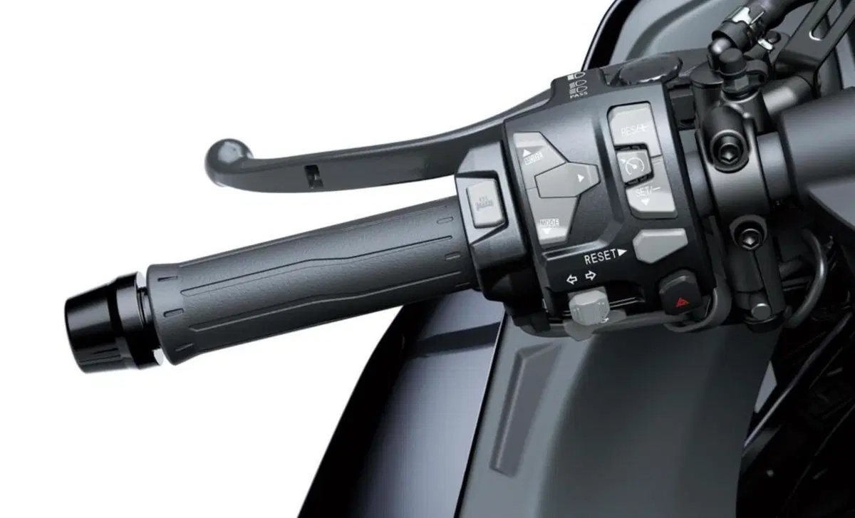 Kawasaki Ninja H2 SX Ninja H2 SX SE (2022) (10)