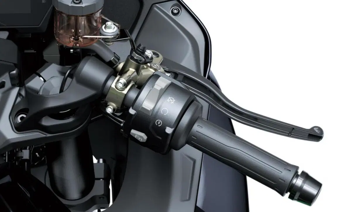 Kawasaki Ninja H2 SX Ninja H2 SX SE (2022) (11)