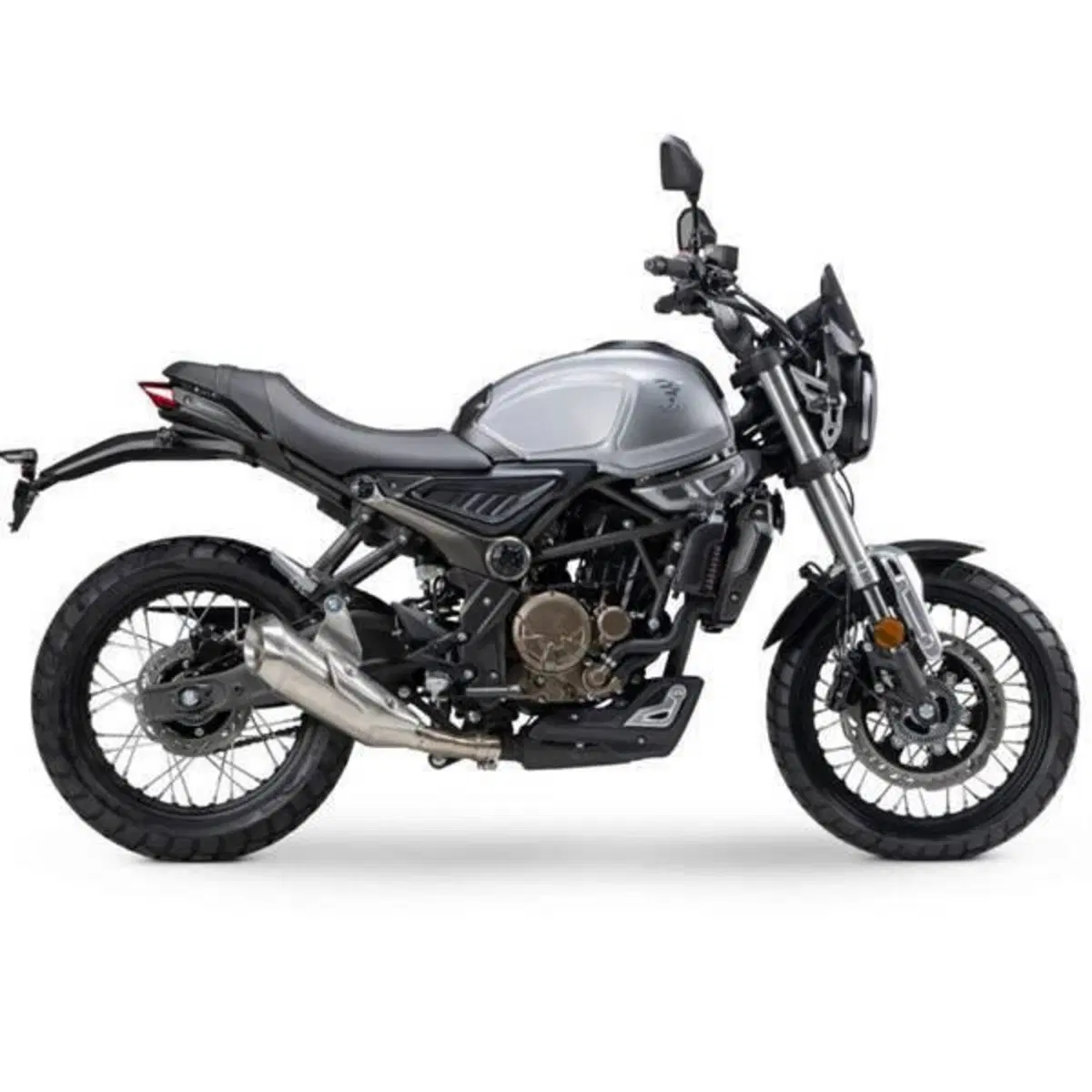Voge Trofeo 300ACX Scrambler (2021 - 26)