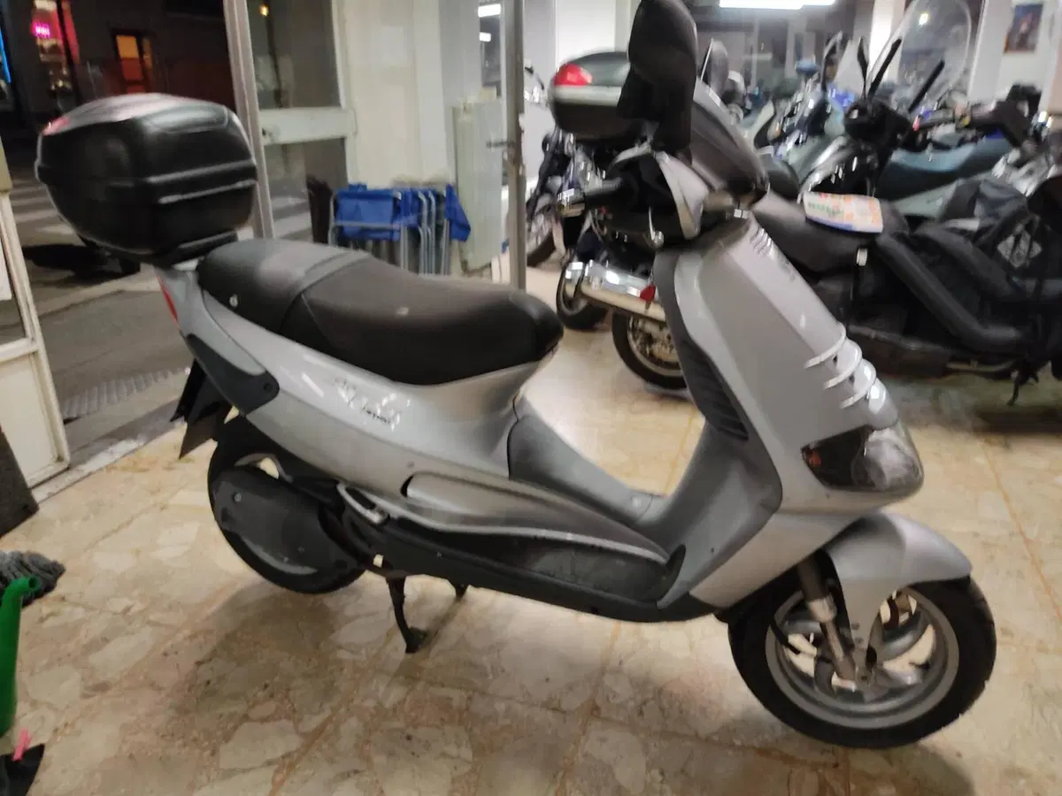 Piaggio Skipper 150 ST 4T (2000 - 04) (2)