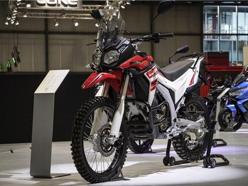 VOGE 300 GY Rally 2022. La nuova piccola enduro con il 21” (2)