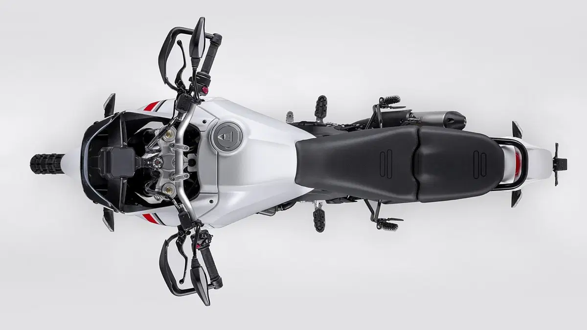 Ducati DesertX 2022. La presentazione Live [VIDEO]