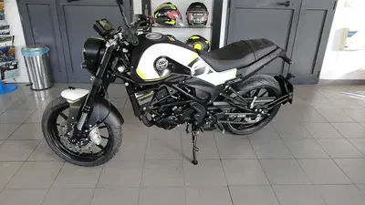 Benelli Leoncino 250 (2021 - 25) nuova