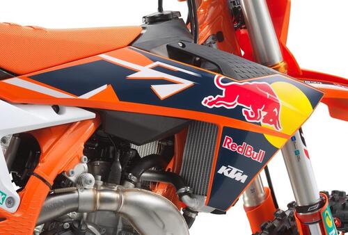 KTM 450 SX-F e 250 SX-F Factory Edition 2022. Solo per gli USA (6)