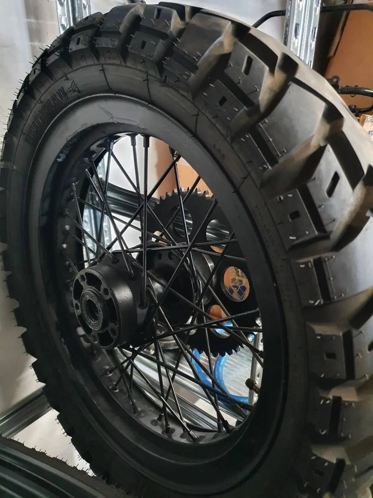 Cerchioni x Kit Cafè Racer x Hd883 Harley-Davidson (5)