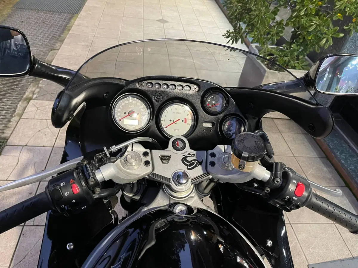 Triumph Sprint 955 RS (1999 - 01) (3)