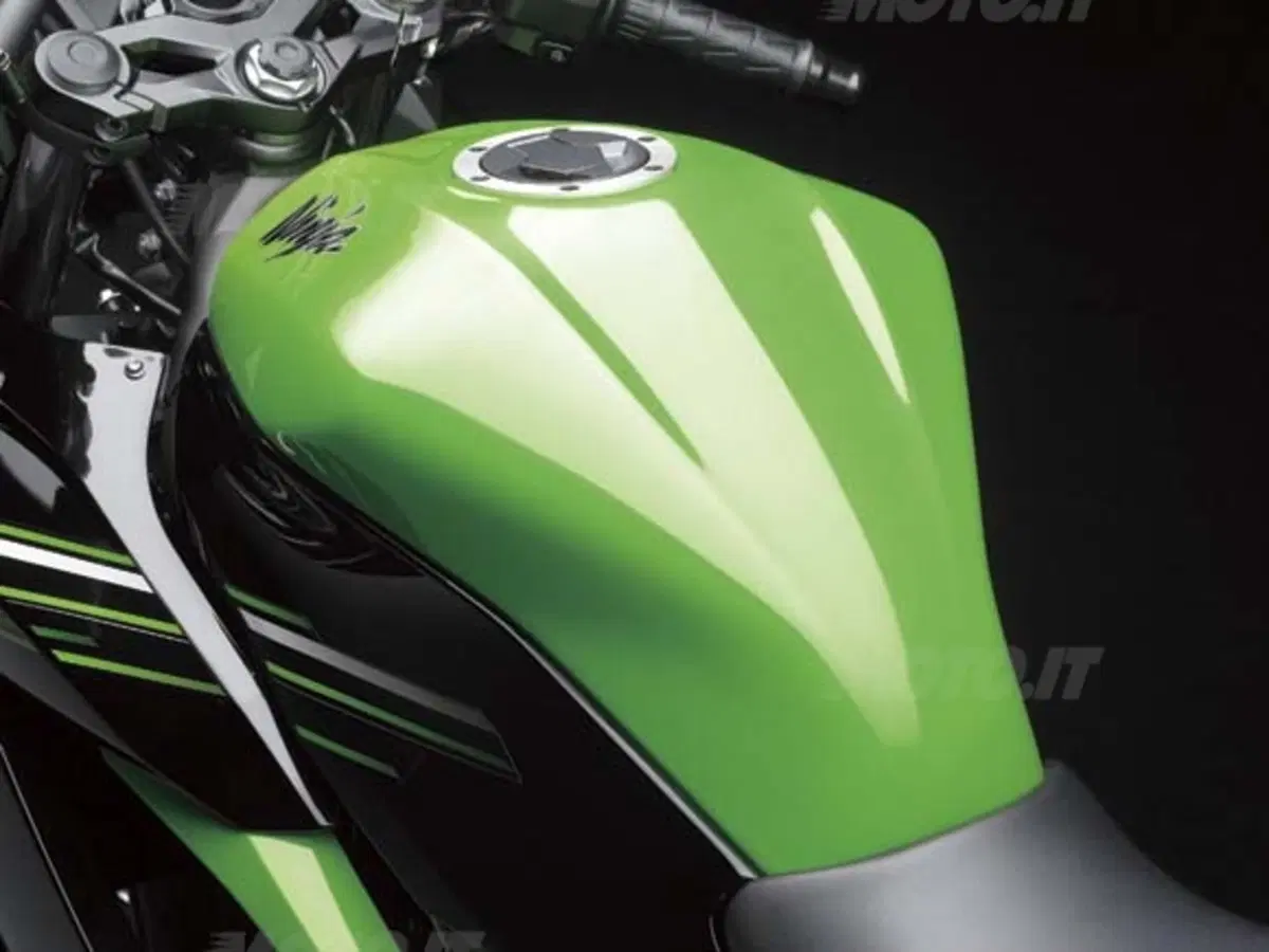Kawasaki Ninja 250RR, per ora solo in Asia (4)