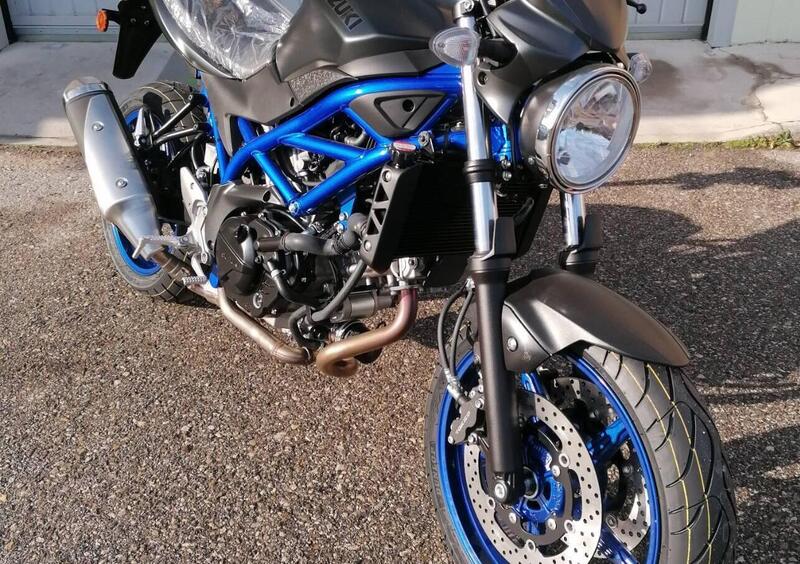 Vendo Suzuki SV650 (2021 - 24) nuova a Livorno (codice 8592305) 