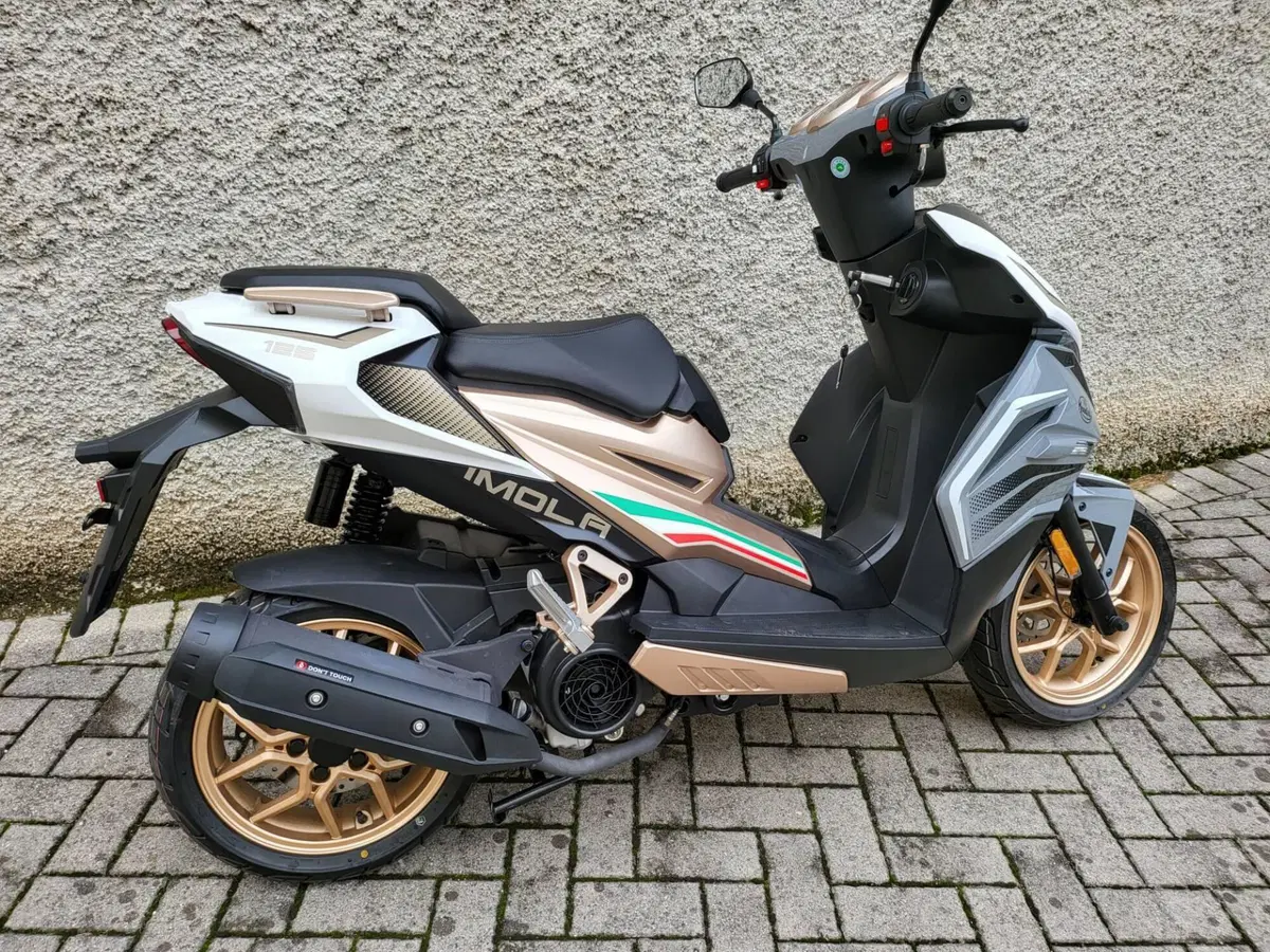 FB Mondial Imola 125 (2022 - 25) (2)