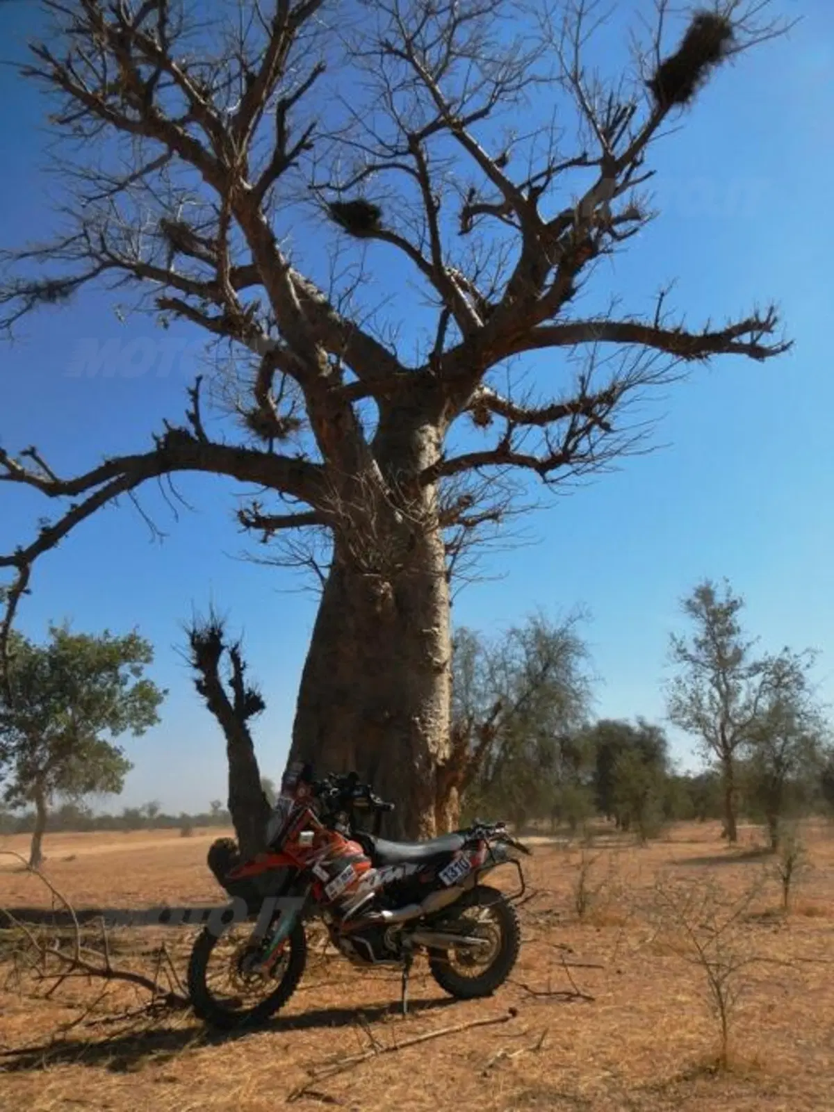 Viaggi in moto: sognando la Dakar (13)