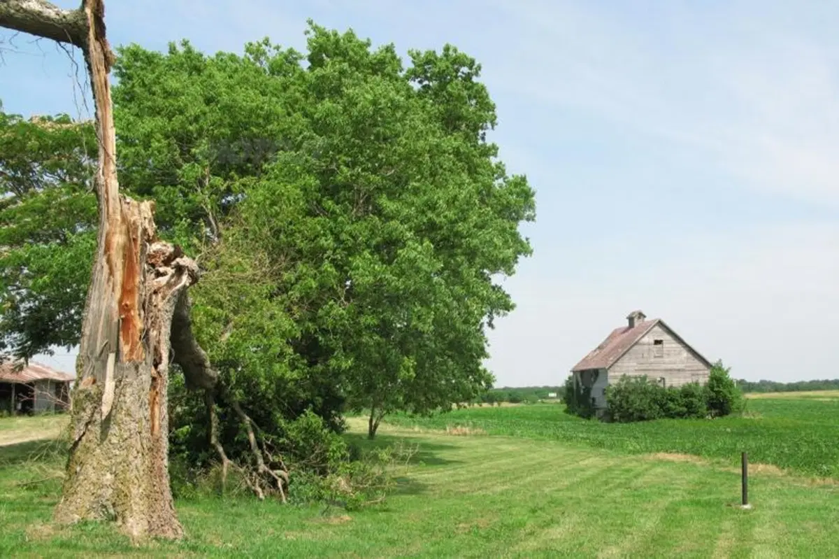 USA: Parola d'ordine, Kansas City (12)