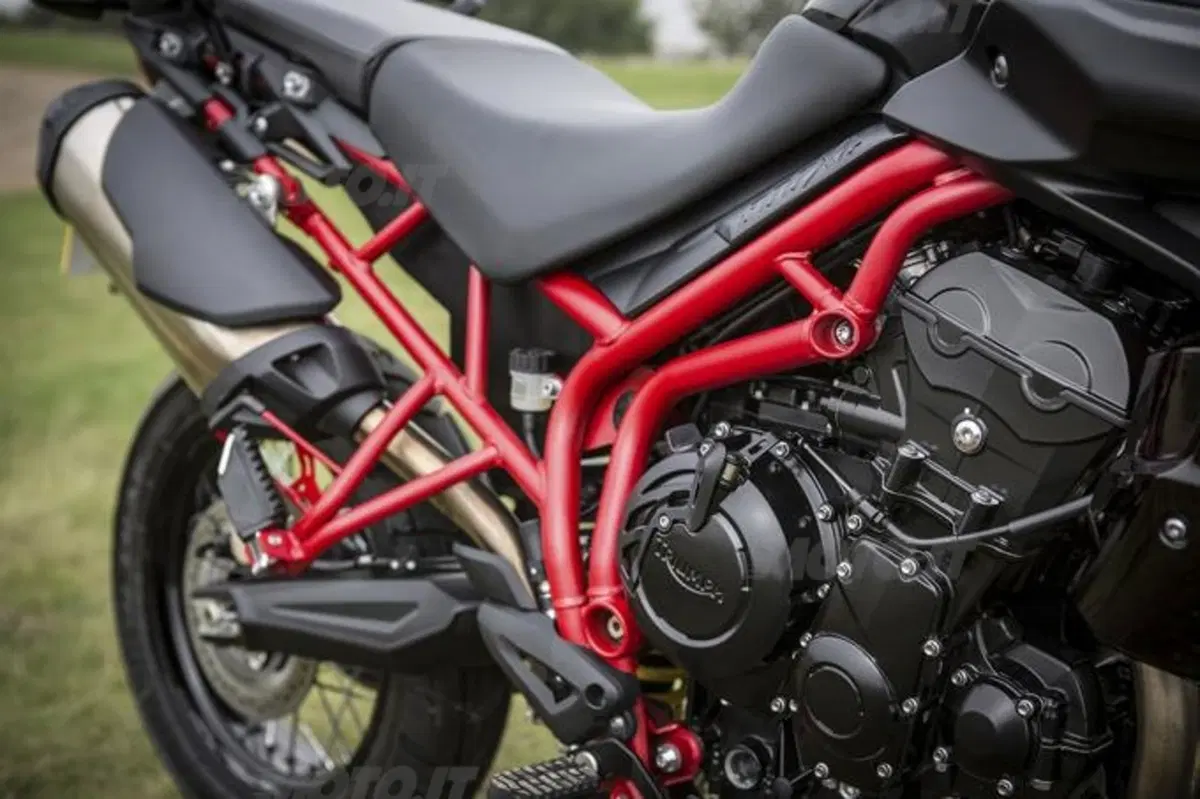 Motodays: Triumph con Numero Tre  (11)