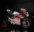 MotoGP, Jorge Martin ad Almeria con una (splendida) Ducati Panigale V4S