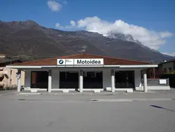 Motoidea
