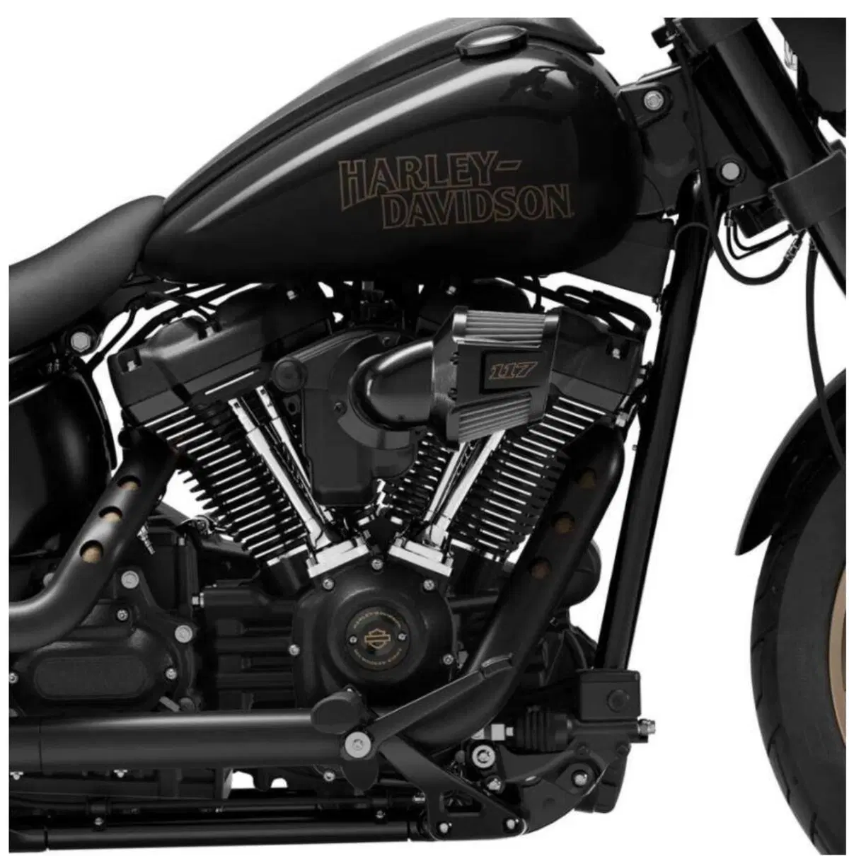 Harley-Davidson Low Rider S 2022. Svelata, ufficiosamente, in anticipo (3)