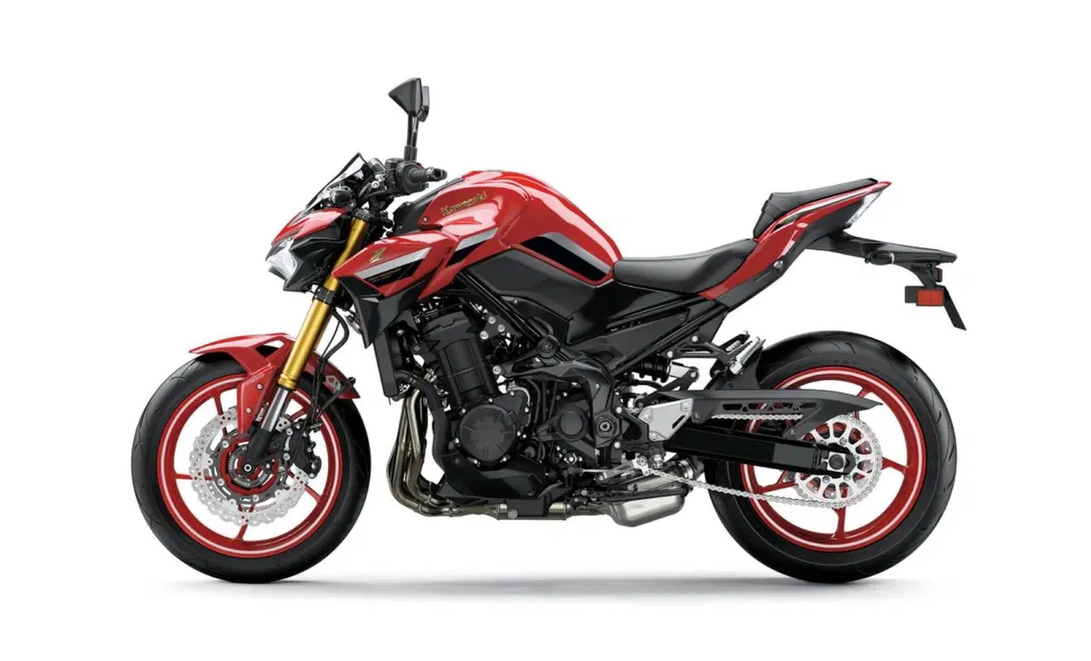 Kawasaki Z 900 Z 900 50th Anniversary (2022 - 23) (2)