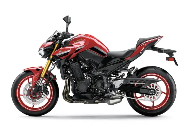 Kawasaki Z 900 Z 900 50th Anniversary (2022 - 23) (2)