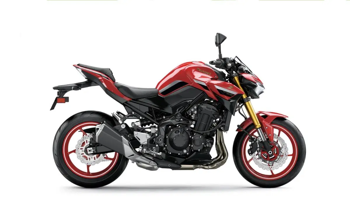 Kawasaki Z 900 Z 900 50th Anniversary (2022 - 23) (3)