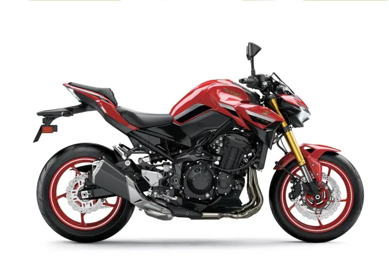 Kawasaki Z 900 Z 900 50th Anniversary (2022 - 23) (3)
