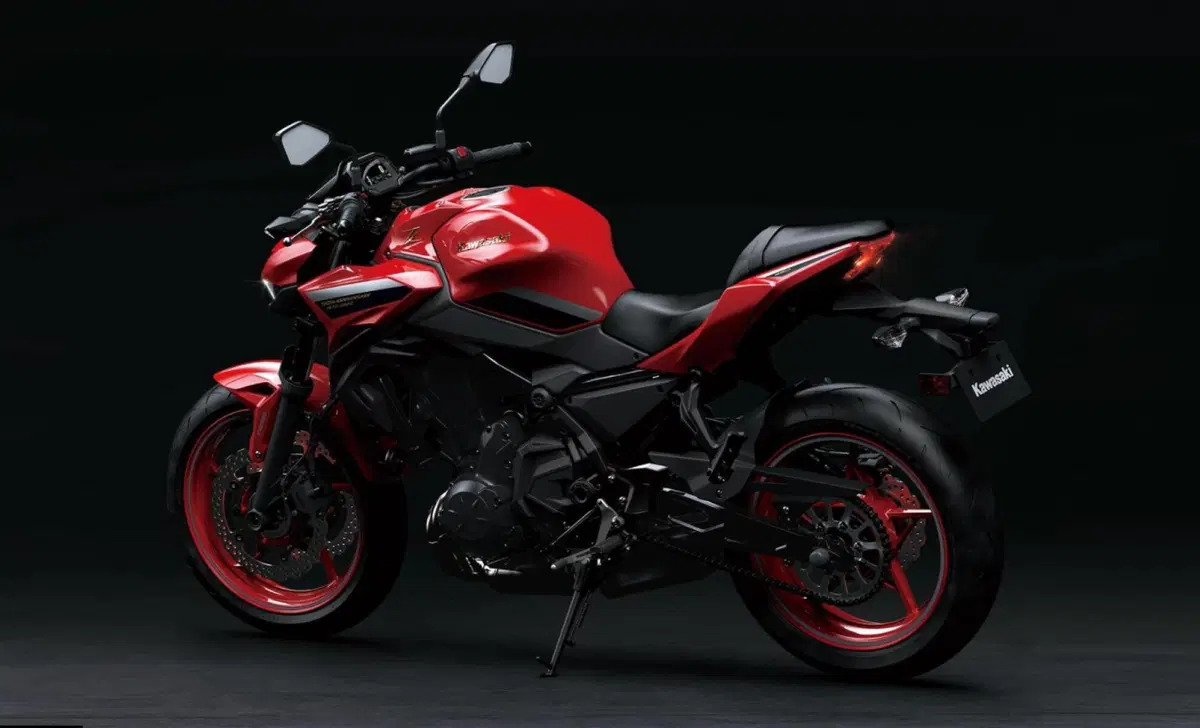 Kawasaki Z 650 Z 650 50th Anniversary (2022 - 23) (4)