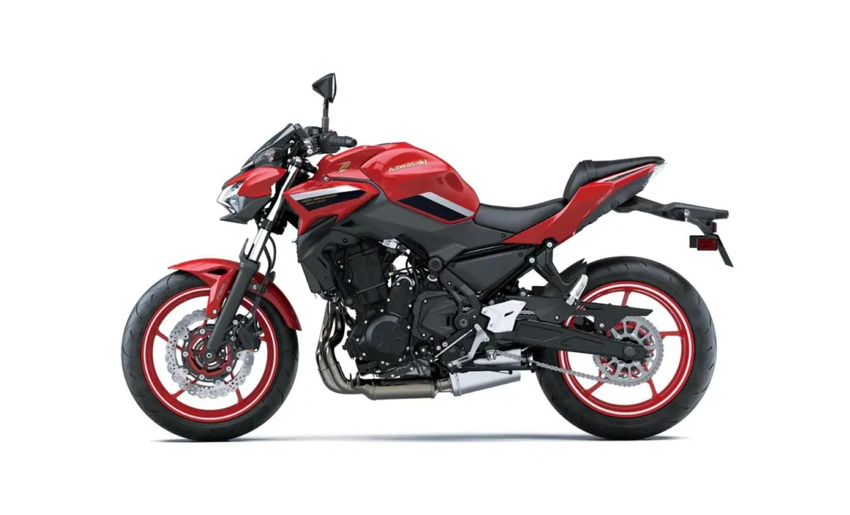 Kawasaki Z 650 Z 650 50th Anniversary (2022 - 23) (2)