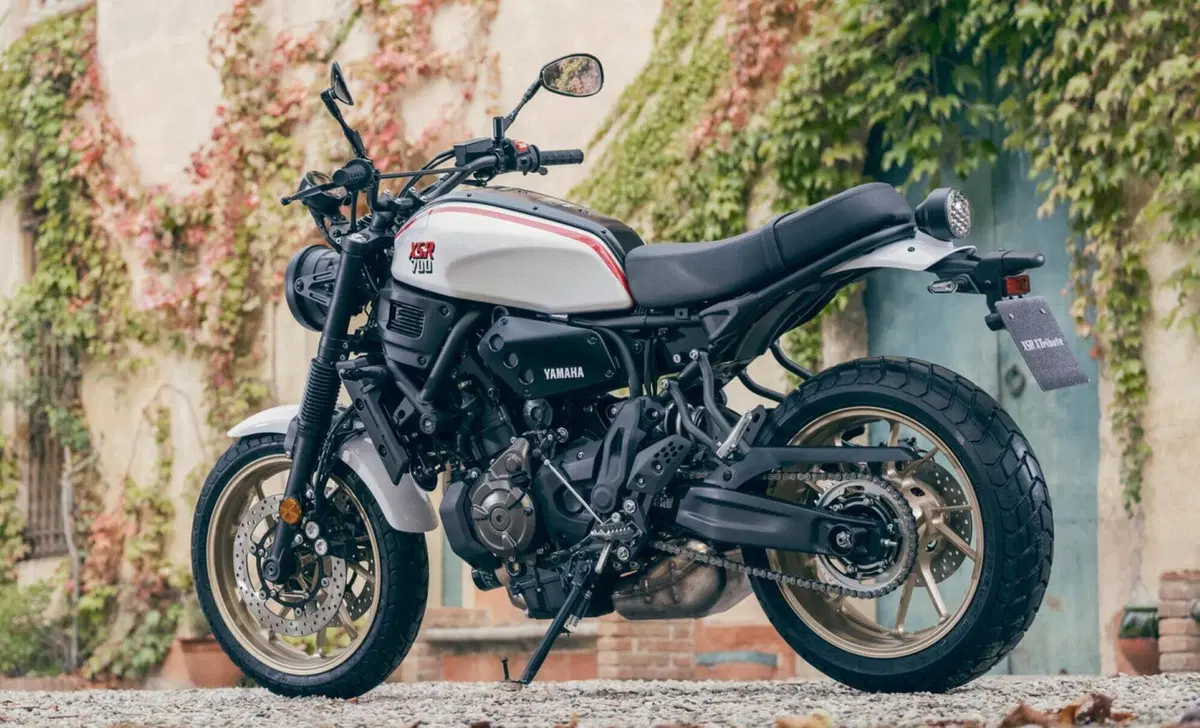 Yamaha XSR 700 XSR 700 XTribute (2022 - 24) (6)