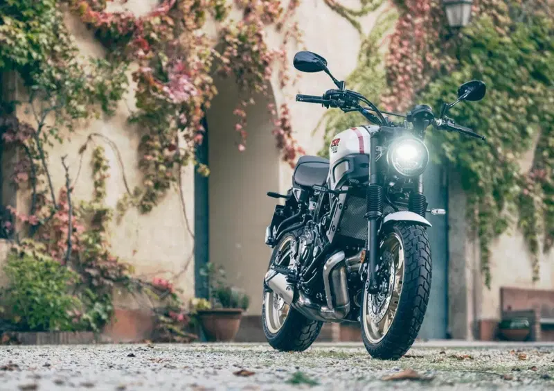 Yamaha XSR 700 XSR 700 XTribute (2022 - 24) (7)