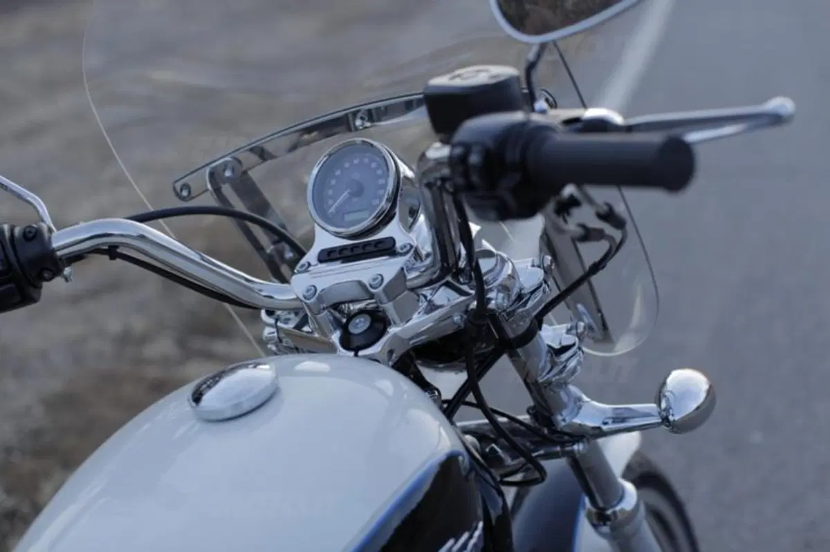 Harley-Davidson Low Rider e SuperLow 1200T sulle strade americane (29)