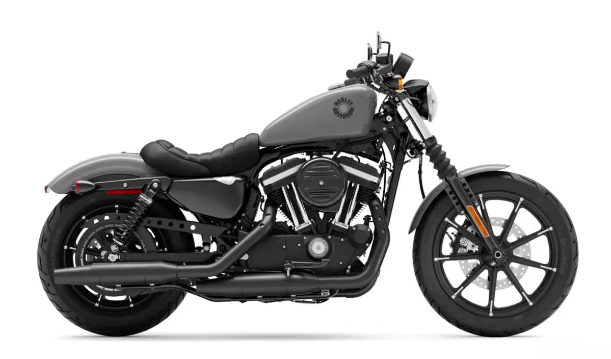Harley-Davidson Iron 883 2022, non per l'Europa (2)