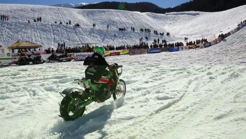 I verdi attaccano: salta l'&ldquo;Harley &amp; Snow&rdquo; di marzo?
