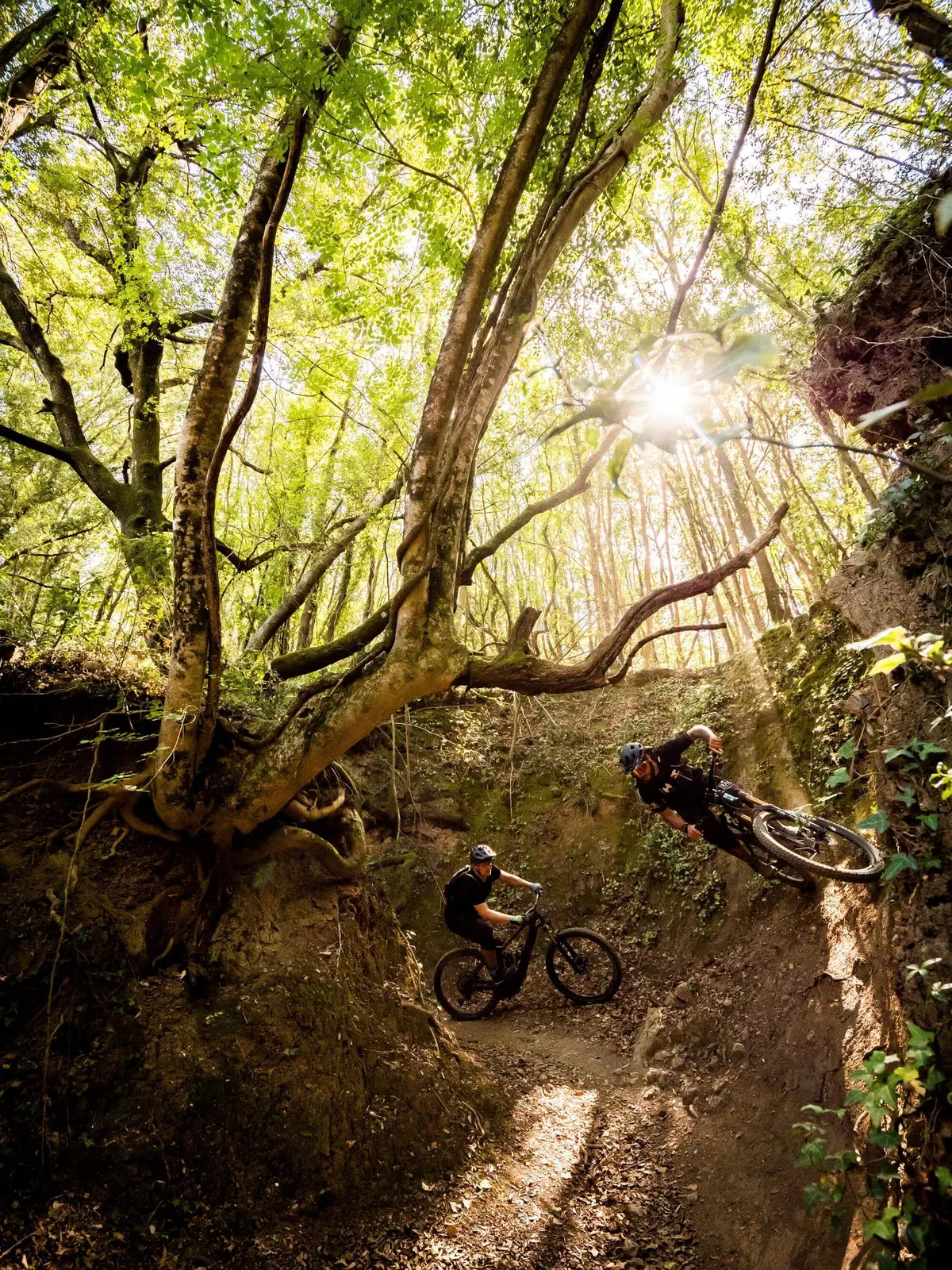 TEST - 1.500 km con lo Shimano EP-8 (15)