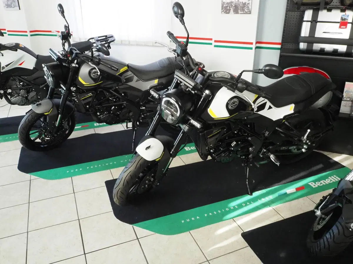 Benelli Leoncino 250 (2021 - 25) (10)
