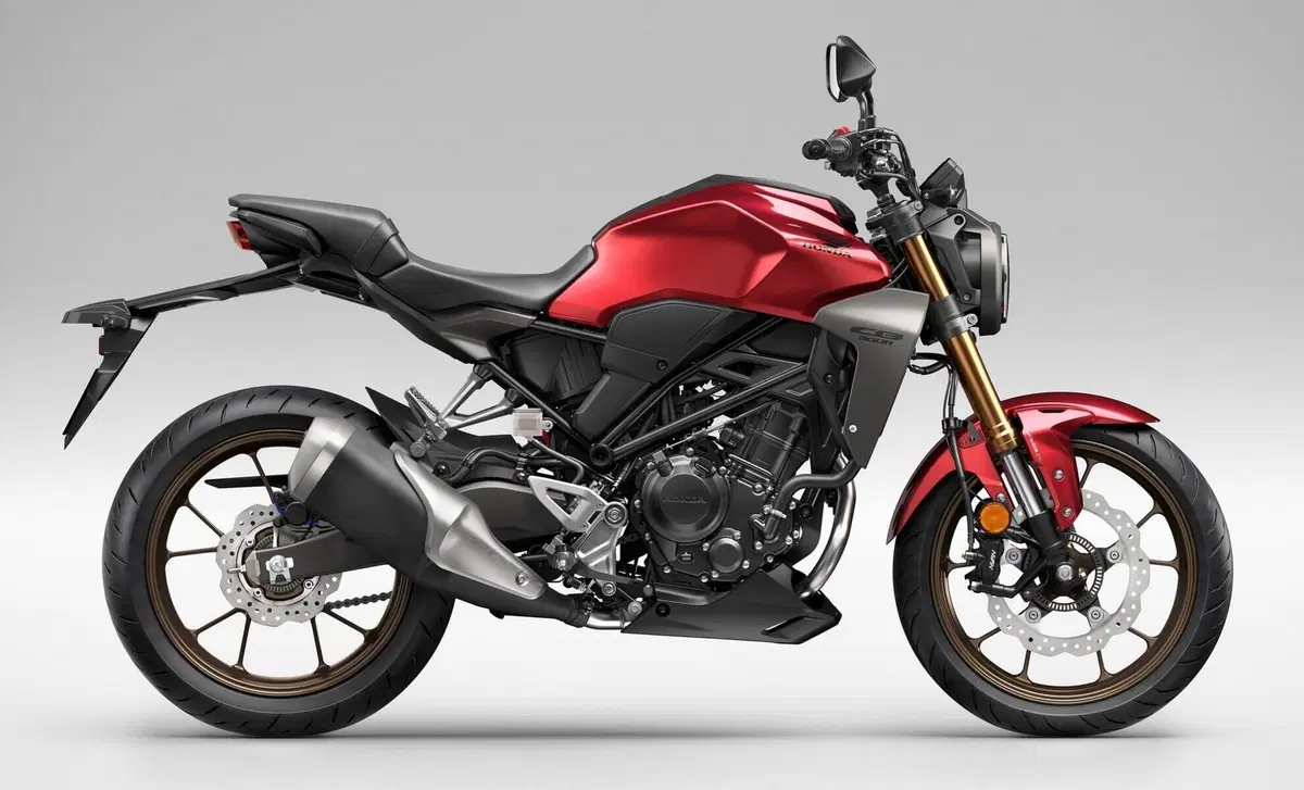 Honda CB 300 R CB 300 R (2022 - 26) (3)