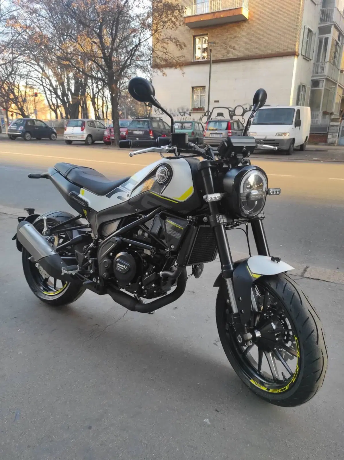 Benelli Leoncino 250 (2021 - 25) (3)