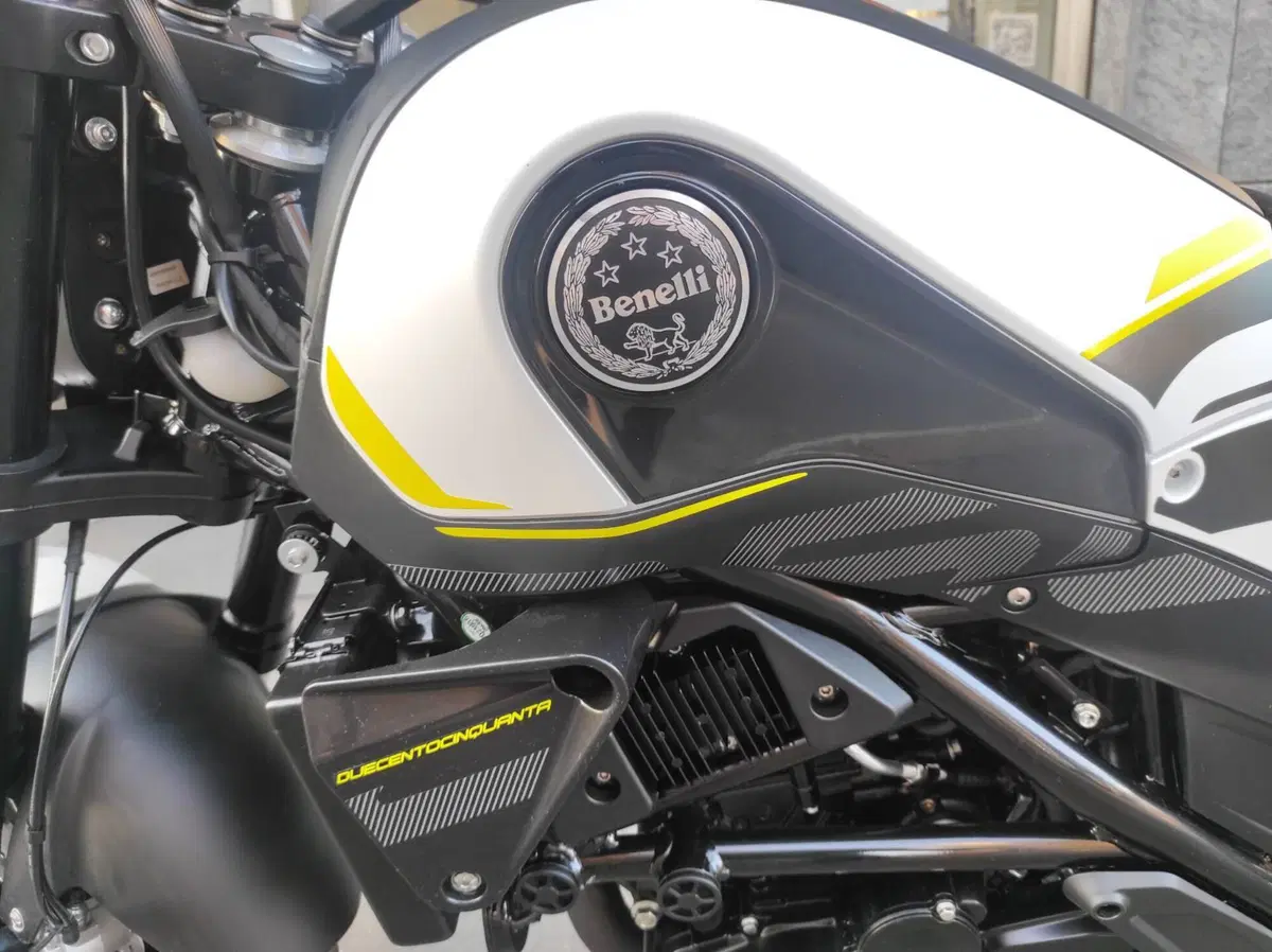 Benelli Leoncino 250 (2021 - 25) (15)