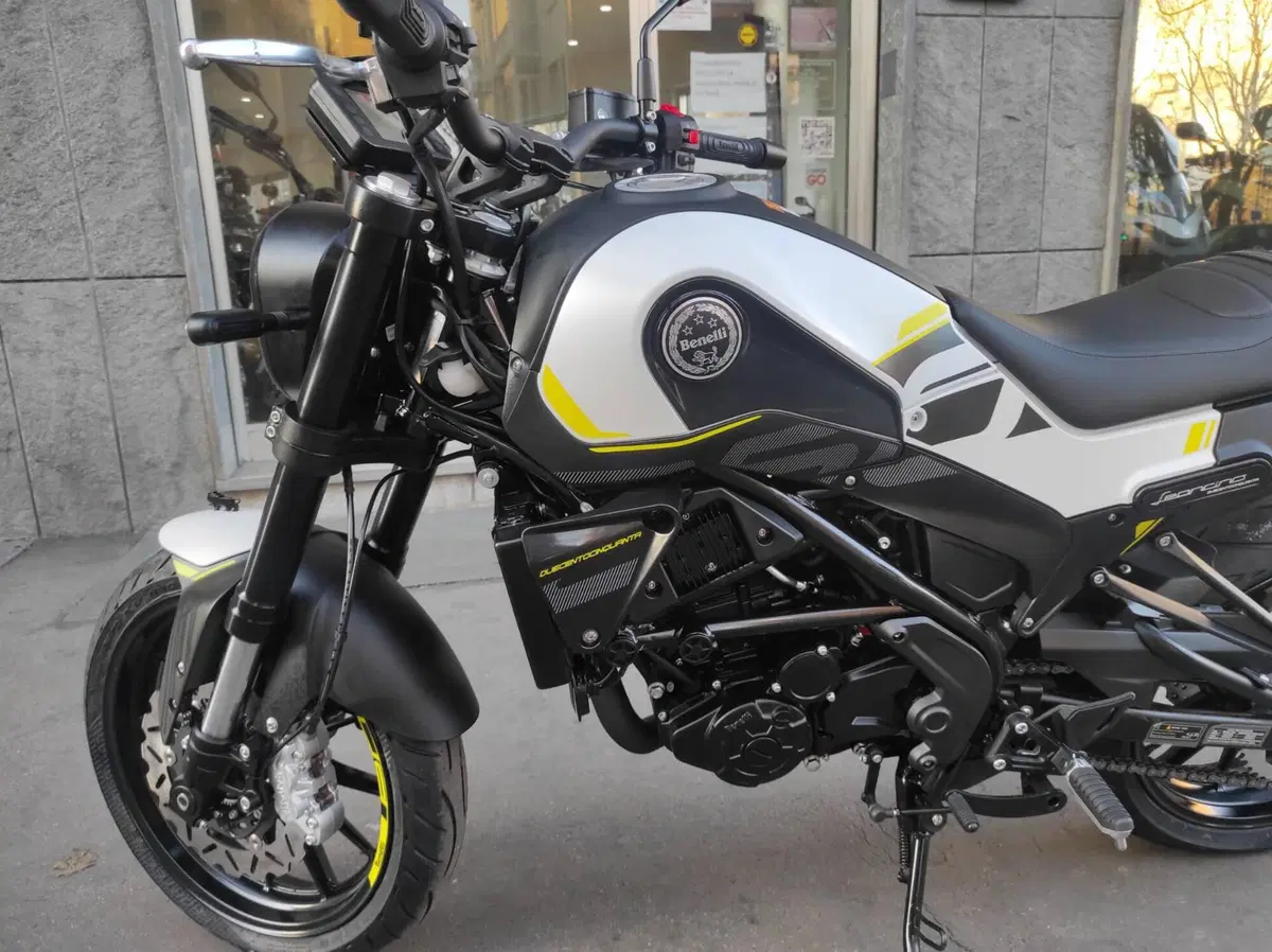 Benelli Leoncino 250 (2021 - 25) (18)