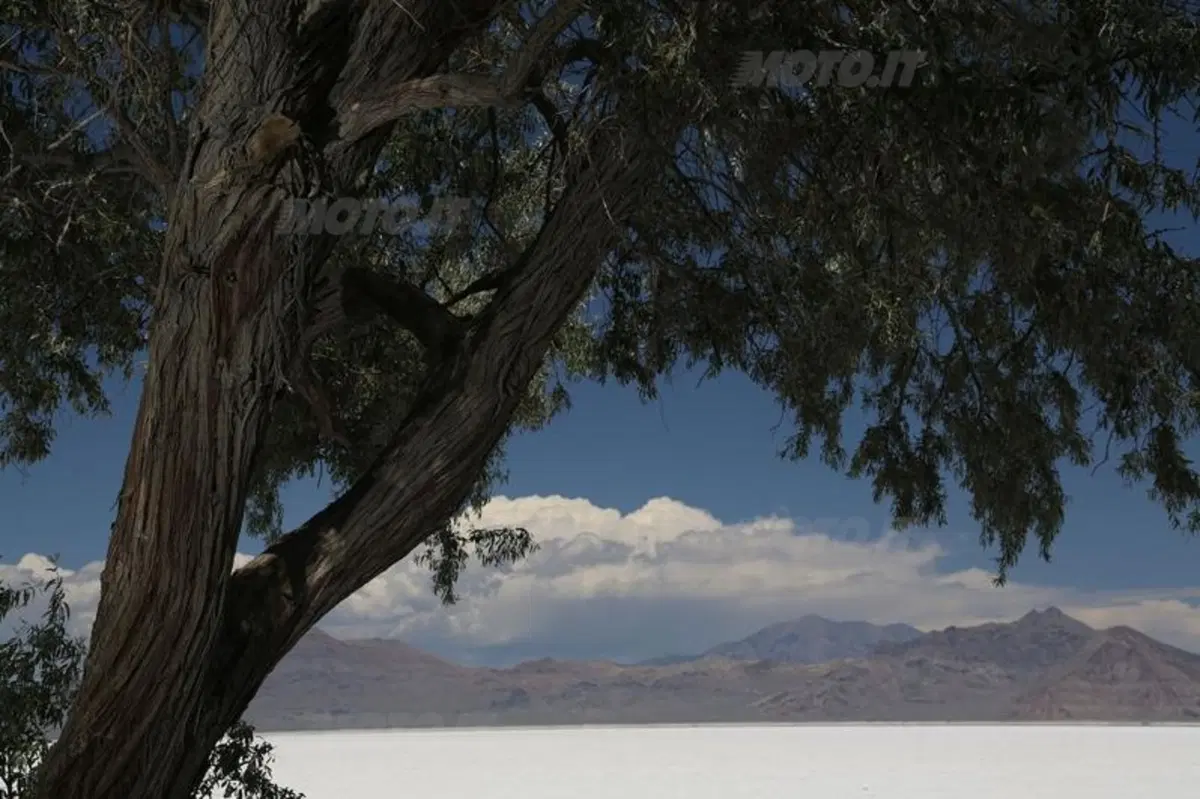 USA. Salt Lake City-Reno, un sogno sfuocato (9)