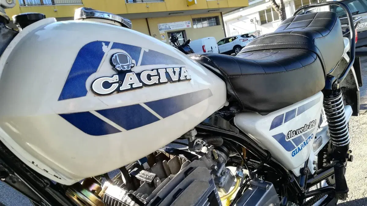 Cagiva Ala verde 250 (6)