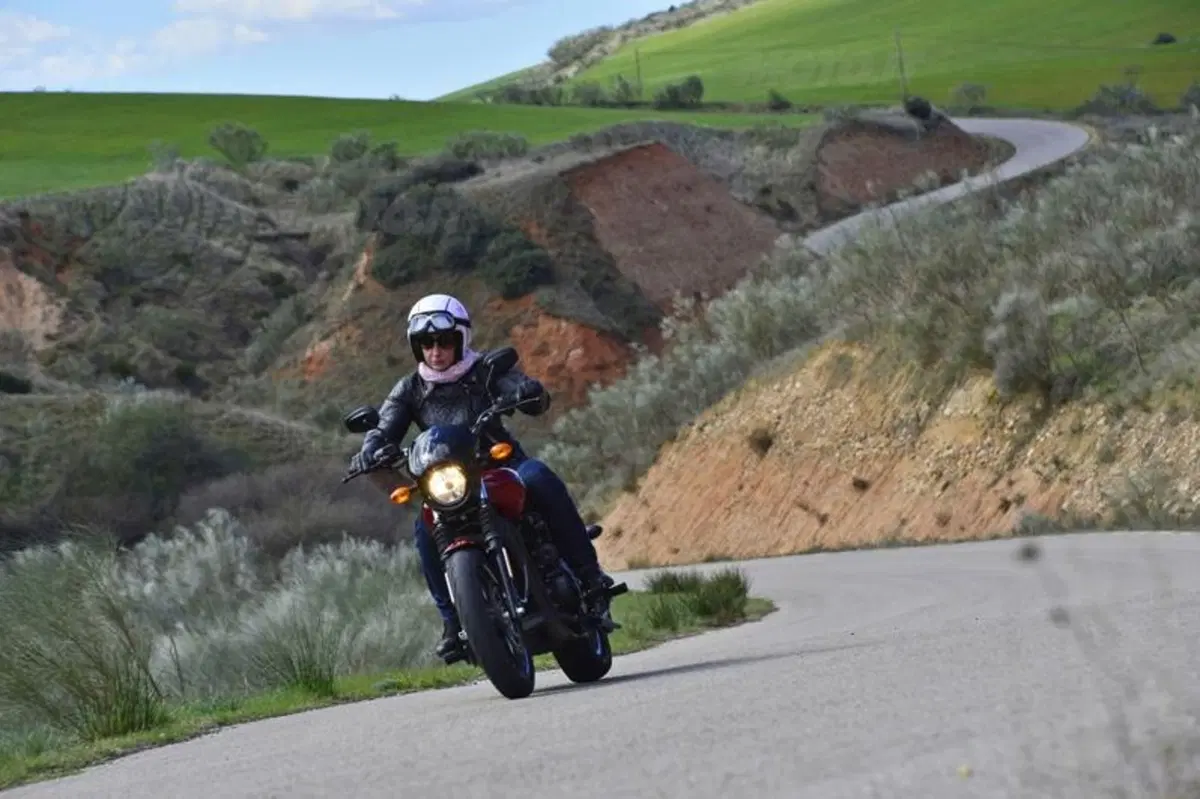  Harley-Davidson Street 750 (14)