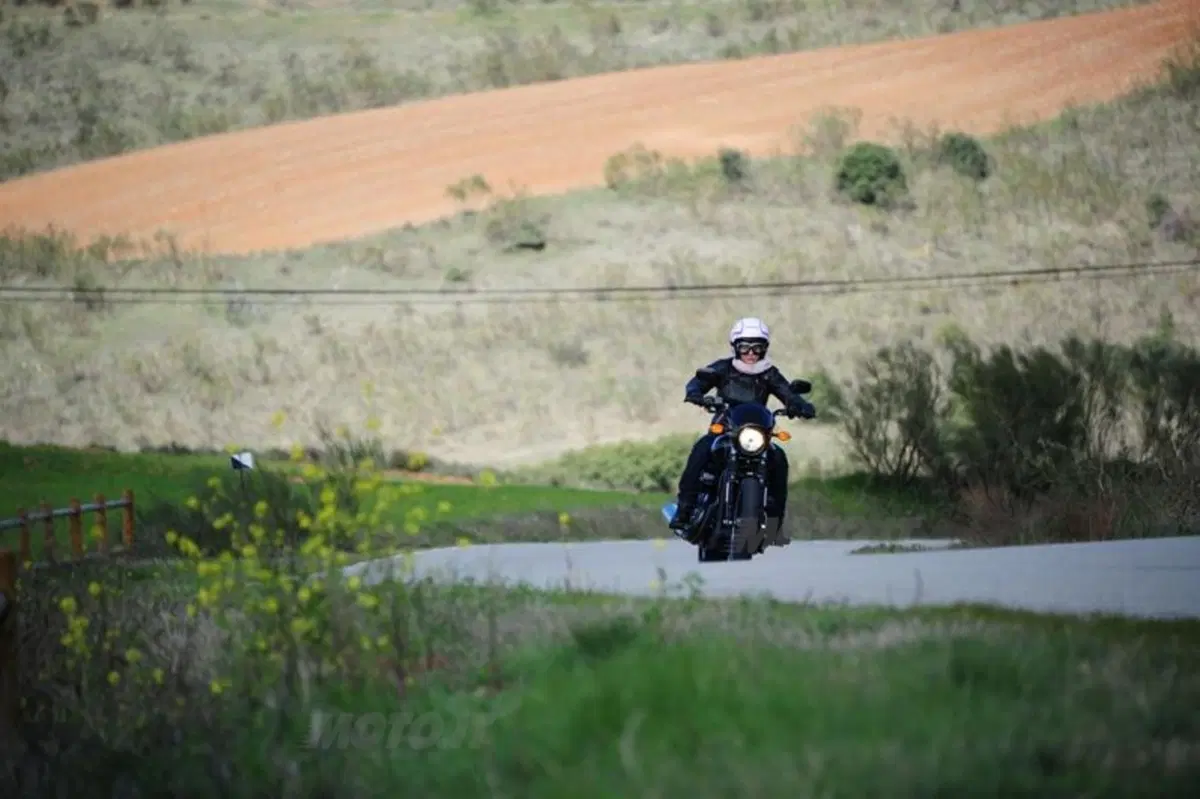  Harley-Davidson Street 750 (16)