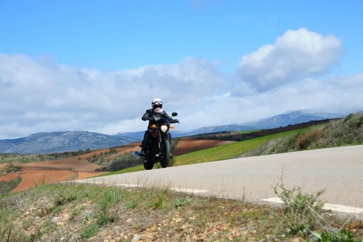  Harley-Davidson Street 750 (19)