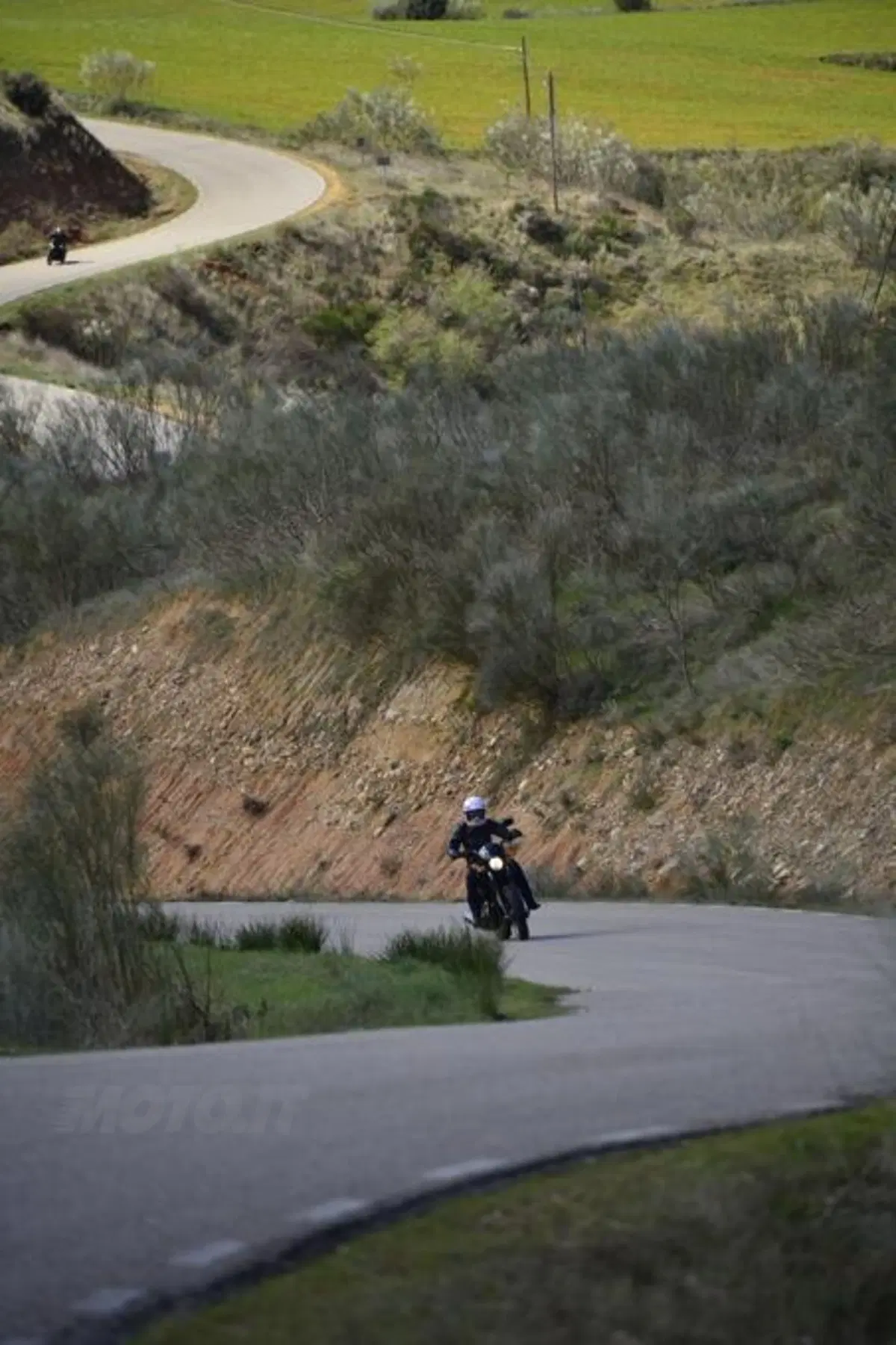  Harley-Davidson Street 750 (23)