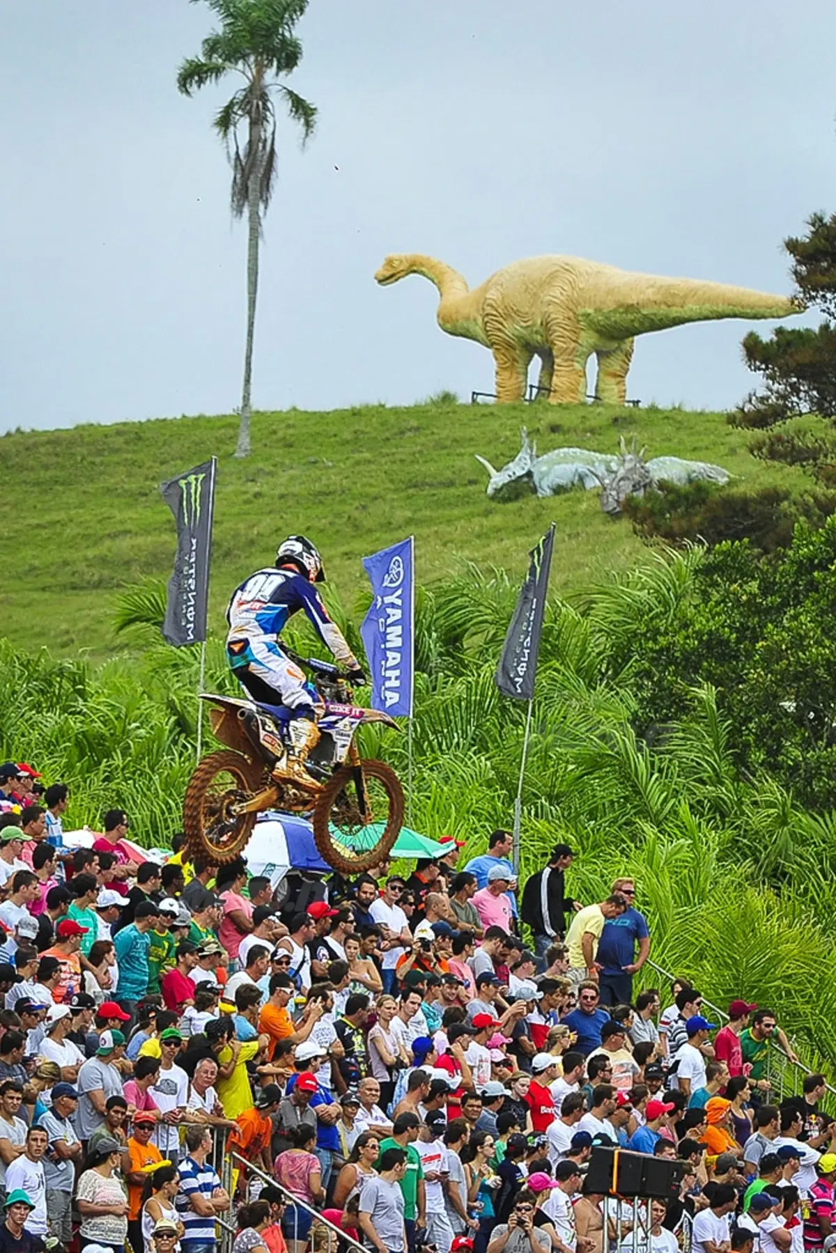 MX. Le foto più belle del GP del Brasile (78)