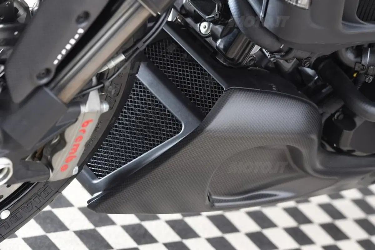 Ducati Diavel Carbon (70)